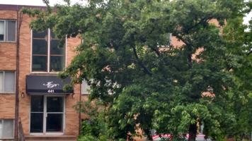featured image of 441 Lynnhurst Ave W