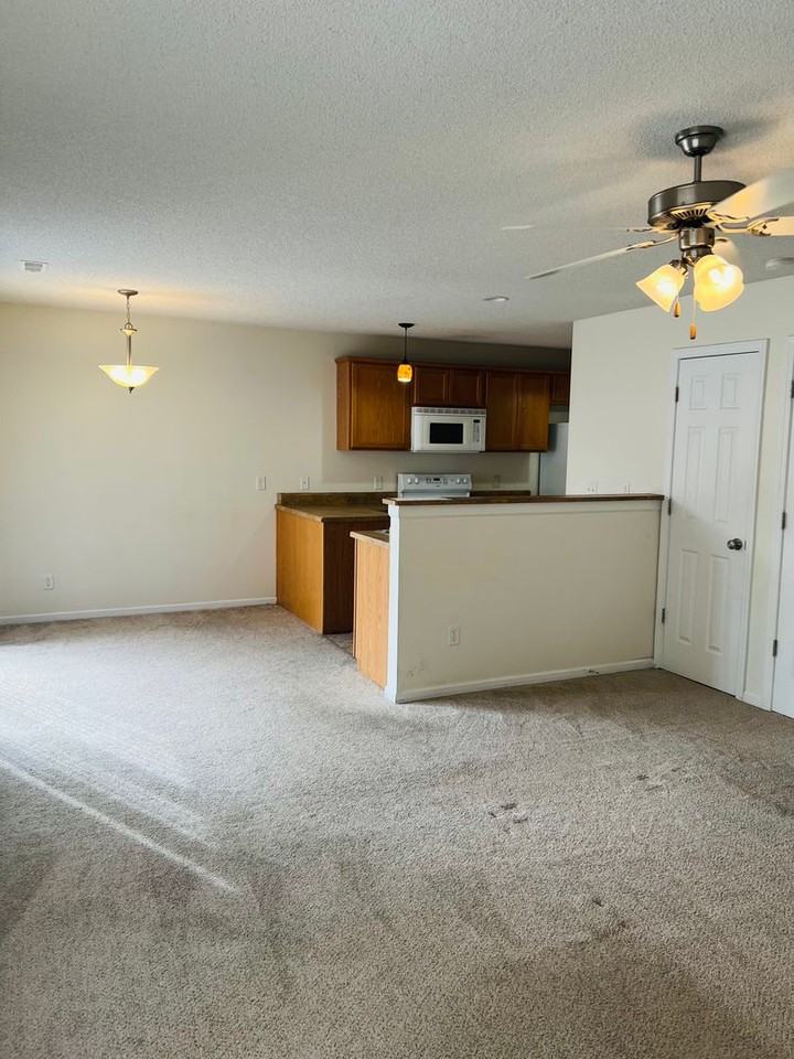 827 Whitetail Ct - Photo 4 of 12