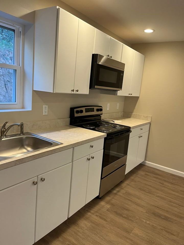 239 Majestic Vine Ln - Photo 3 of 19