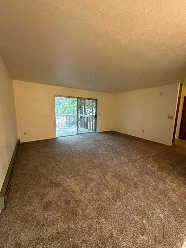 118 N Williams Ave - Photo 6 of 13