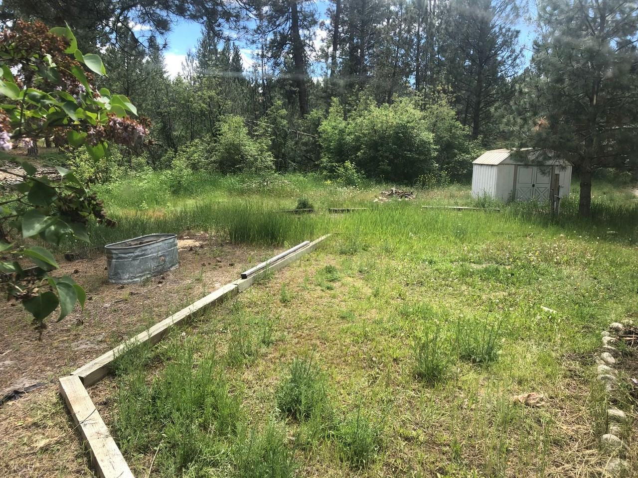 123 Buffalo Sun Rd - Photo 3 of 8