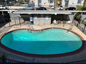 West Palm - Photo 1 of 1