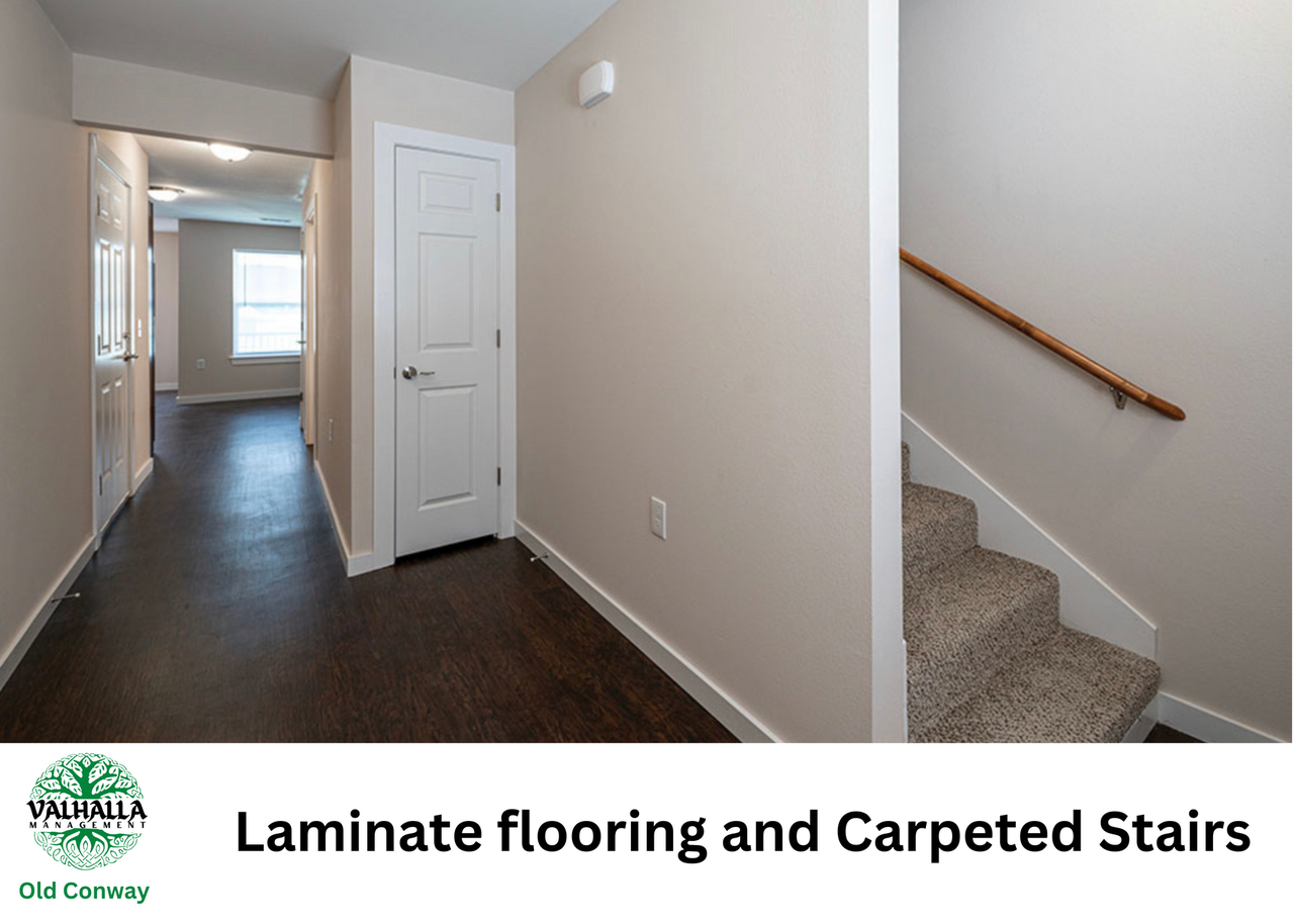 Old Conway Village - Photo 6 of 46