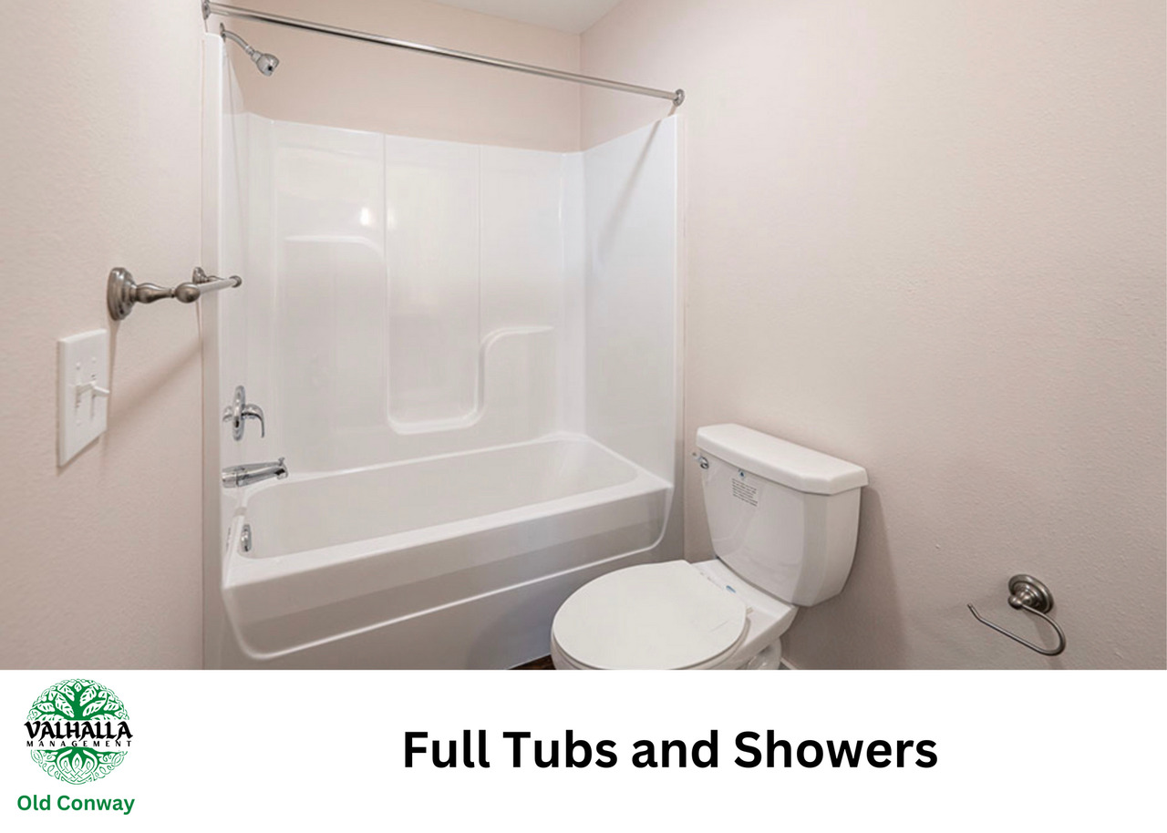 Old Conway Village - Photo 7 of 46