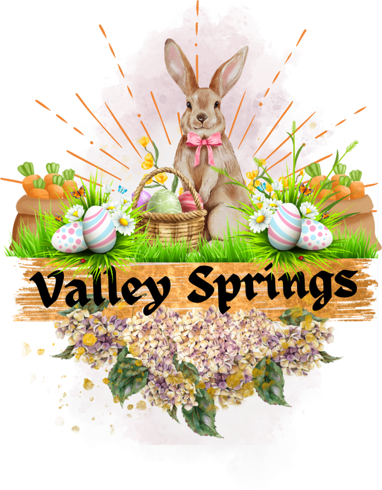 Valley Springs Cottages - Photo 4 of 6