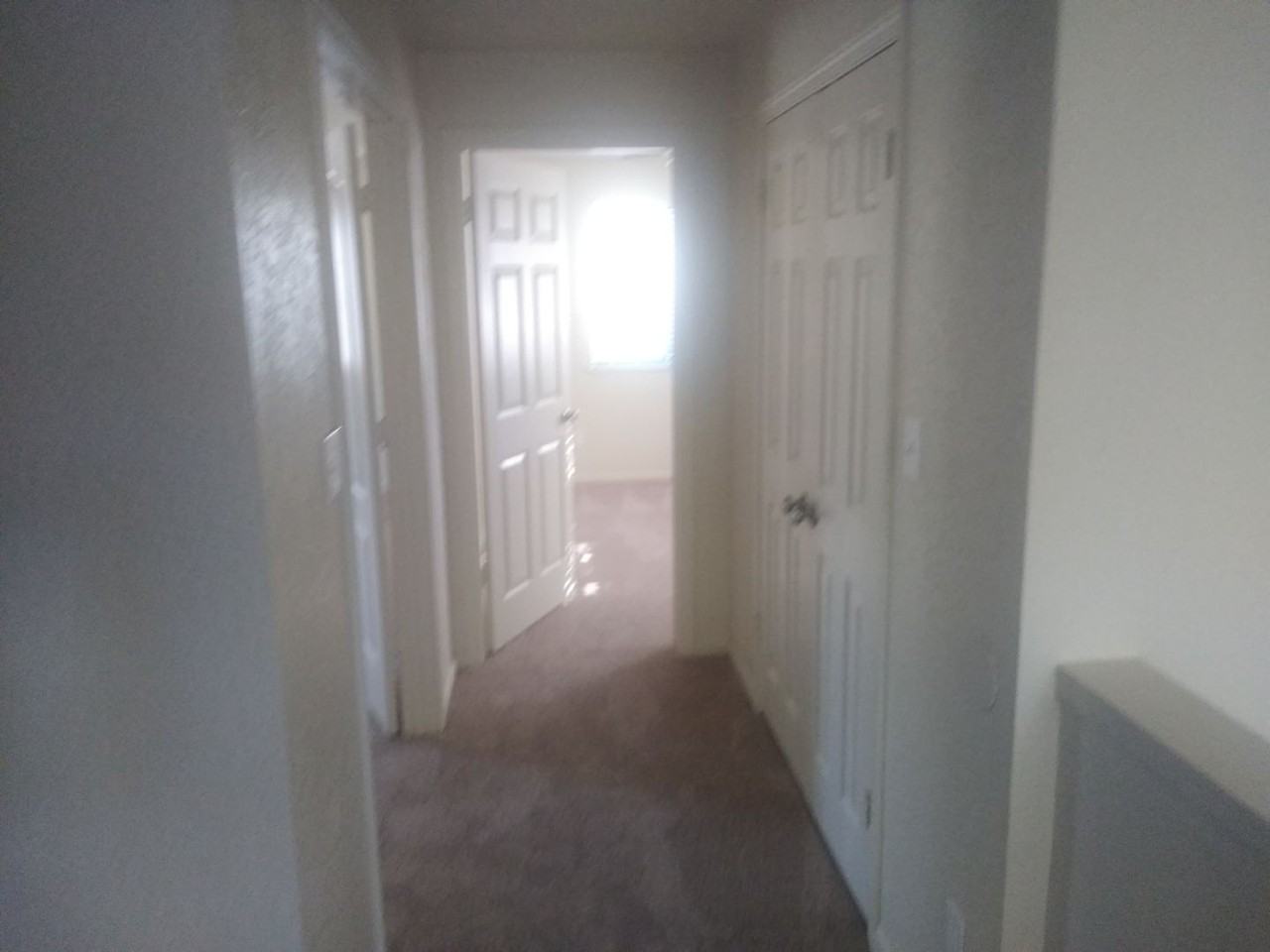 7675 Swampy Ln - Photo 3 of 19