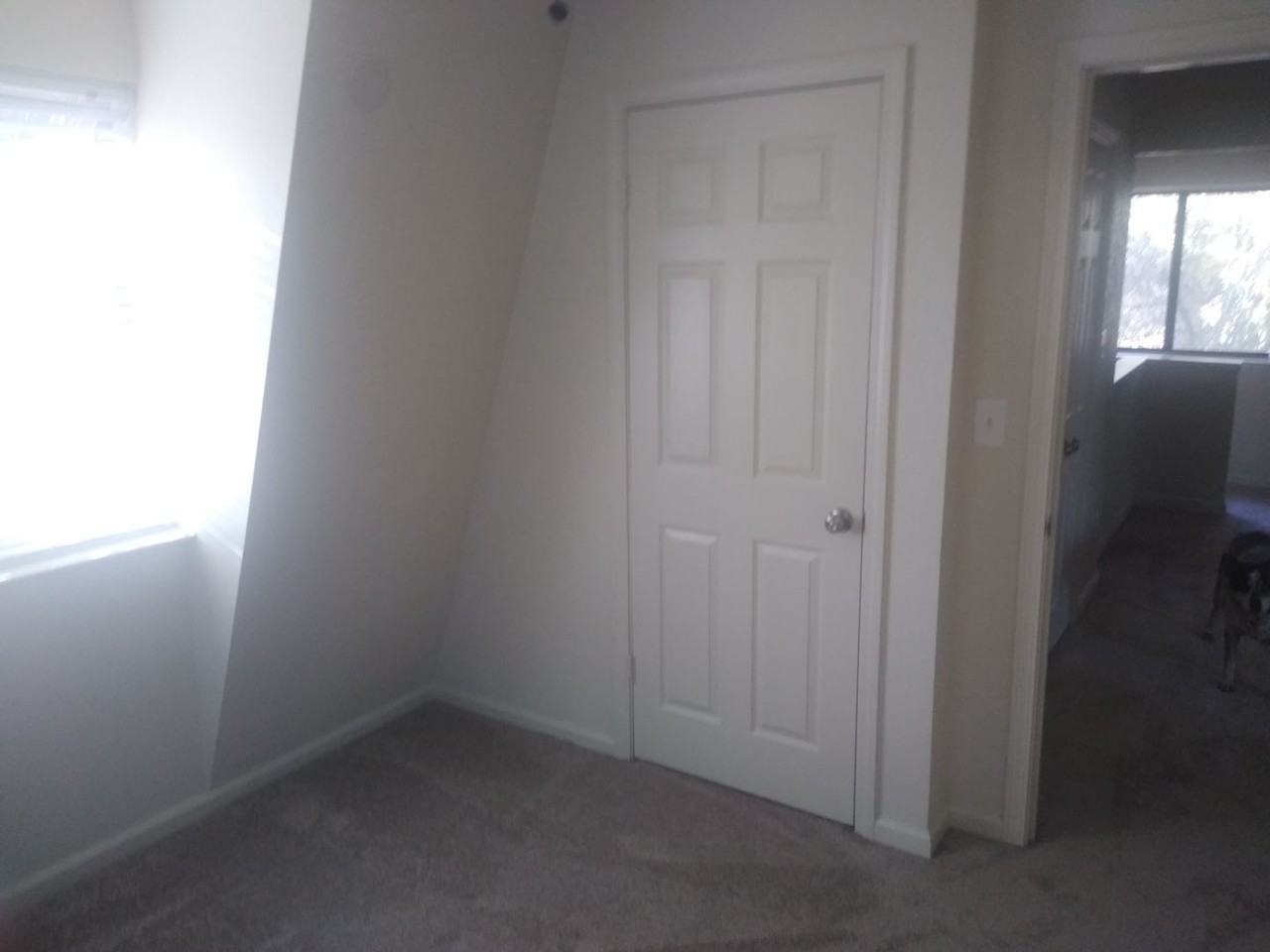 7675 Swampy Ln - Photo 5 of 19