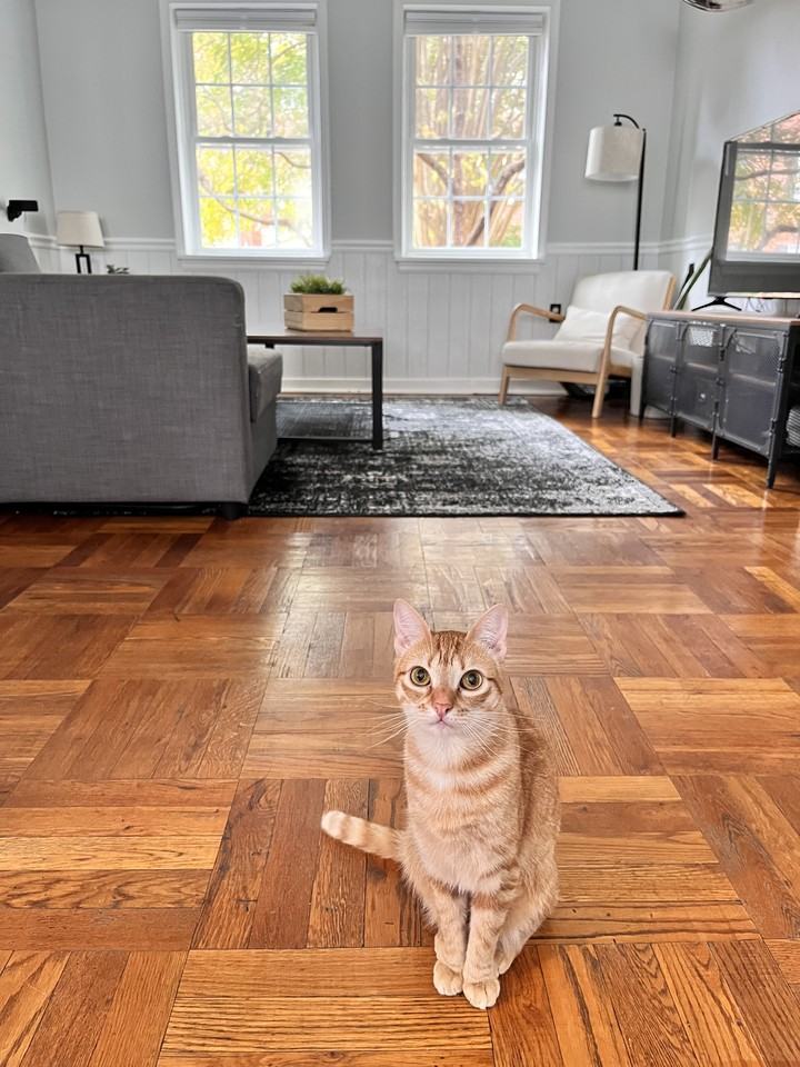 6616 E Wakefield Dr #A1 - Photo 5 of 20