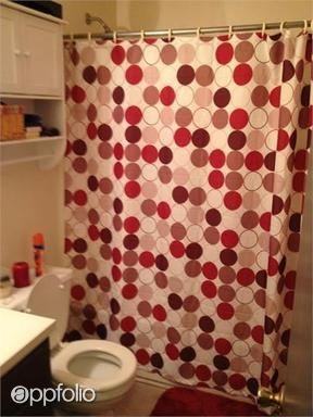 Cactus Street - Photo 2 of 8