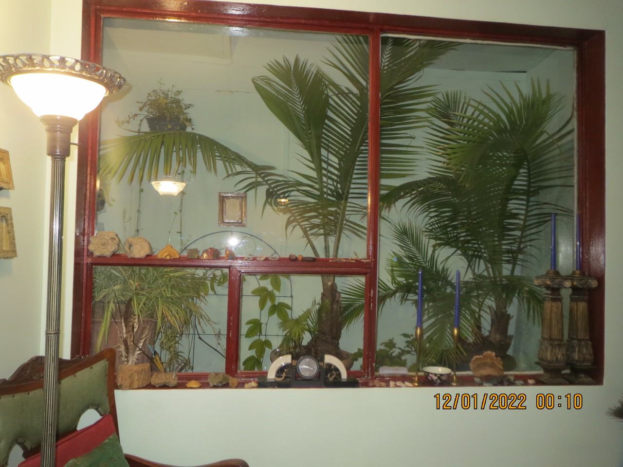 529 Parliament Street - Photo 3 of 10