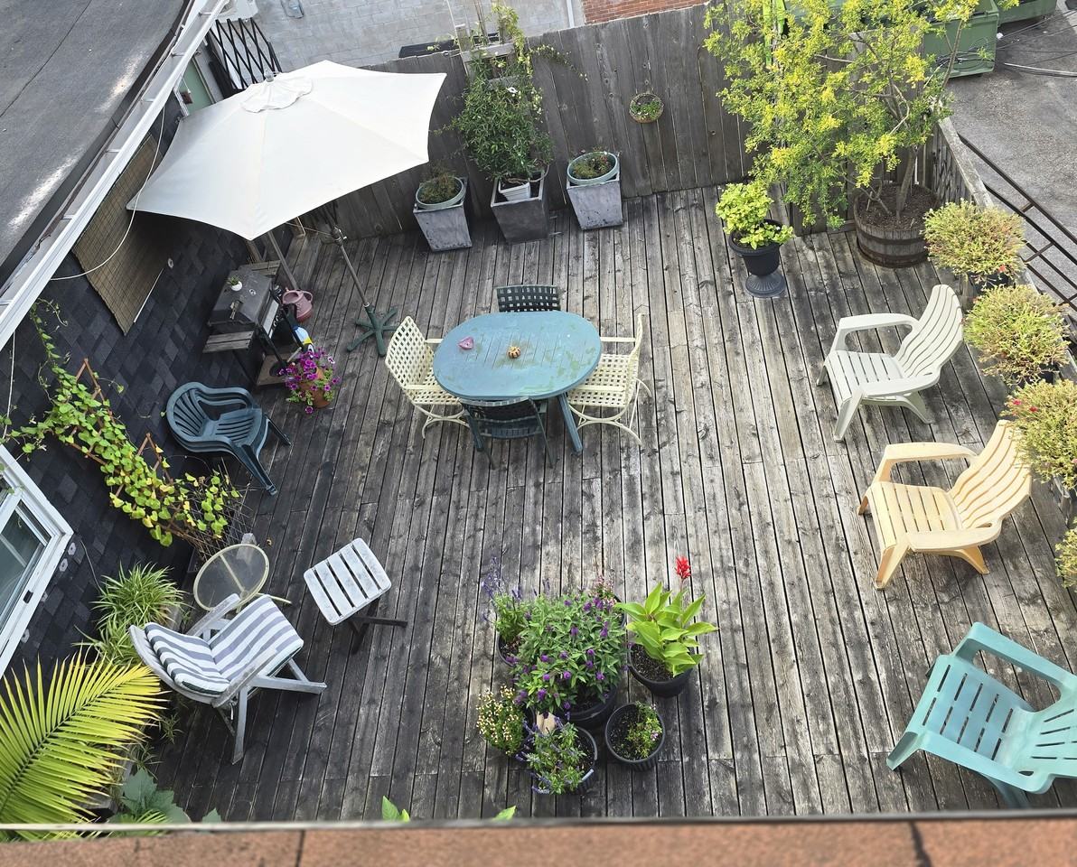 529 Parliament Street - Photo 2 of 10