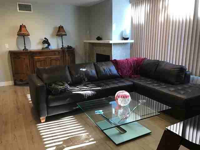 4082 Albatross Street #3