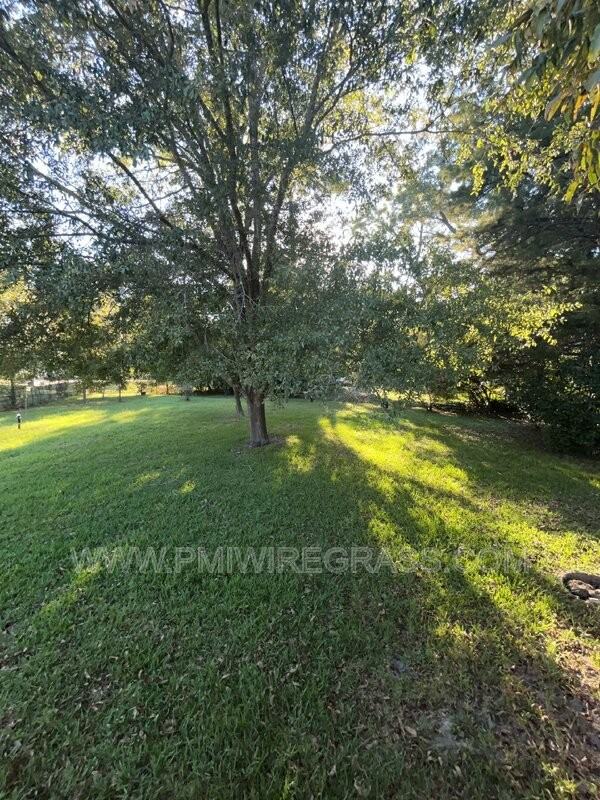 303 W Church St - Photo 3 of 50