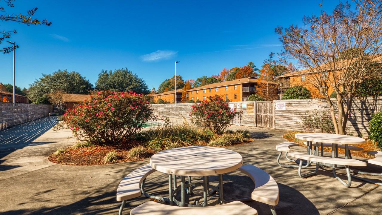 Emerald Lake - Photo 4 of 11