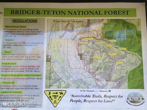 772 W Snow King Ave - Photo 2 of 14