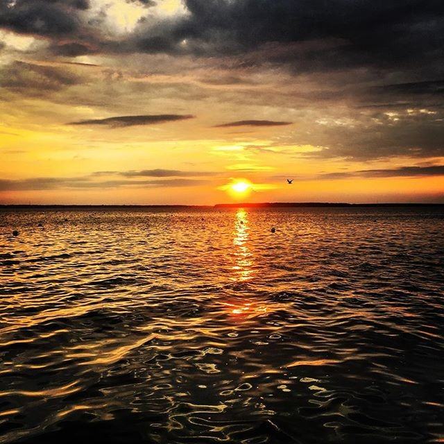 10300 Coastal Hwy #101 - Photo 3 of 18