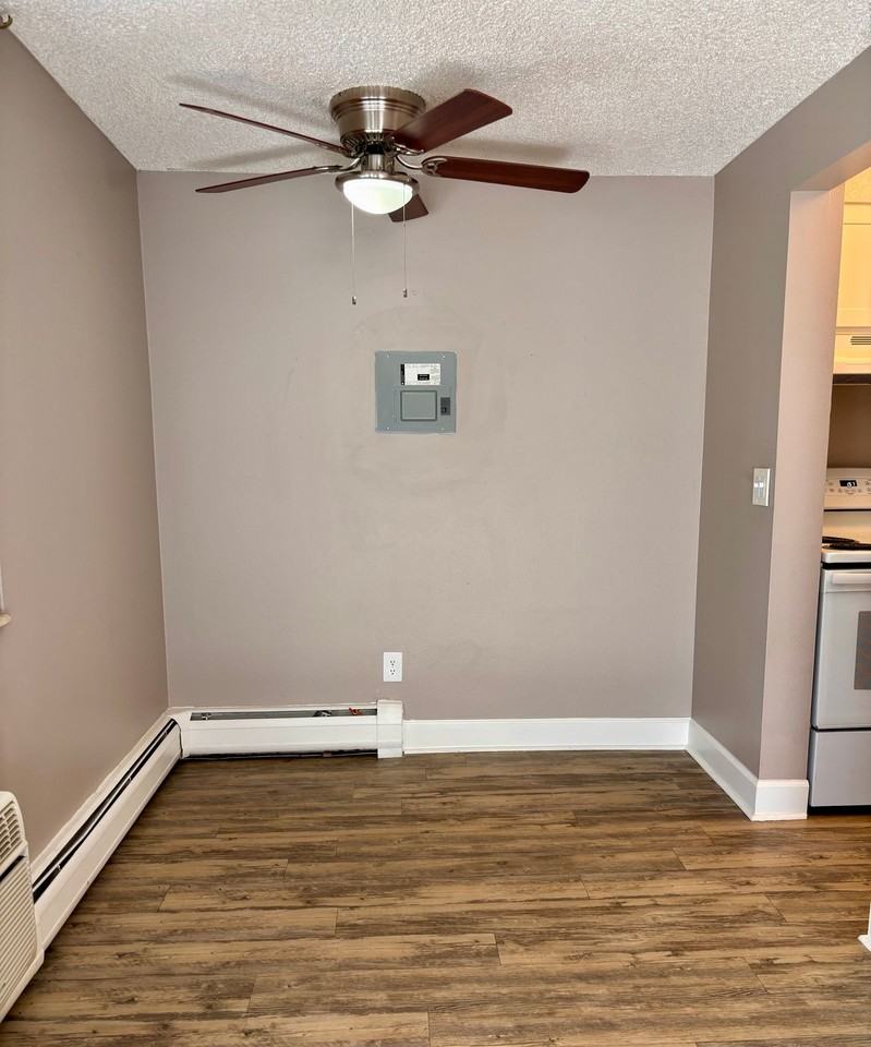 Beautifully Renovated Apartments - Photo 3 of 13