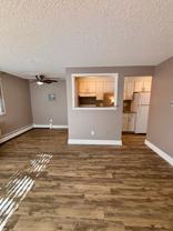 Beautifully Renovated Apartments - Photo 1 of 1