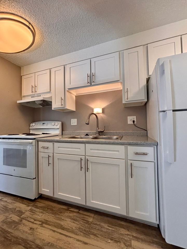 Beautifully Renovated Apartments - Photo 6 of 13