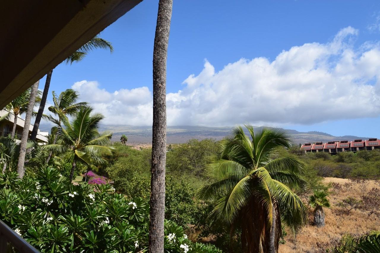 2575 S Kihei Rd - Photo 3 of 11
