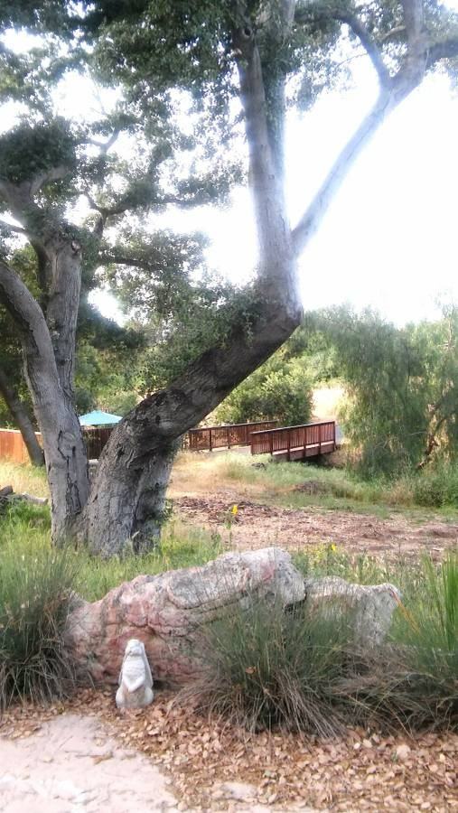 14519 Rios Canyon Rd #NA - Photo 2 of 25