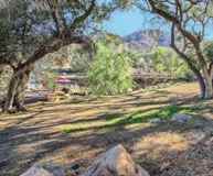 14519 Rios Canyon Rd #NA - Photo 1 of 1