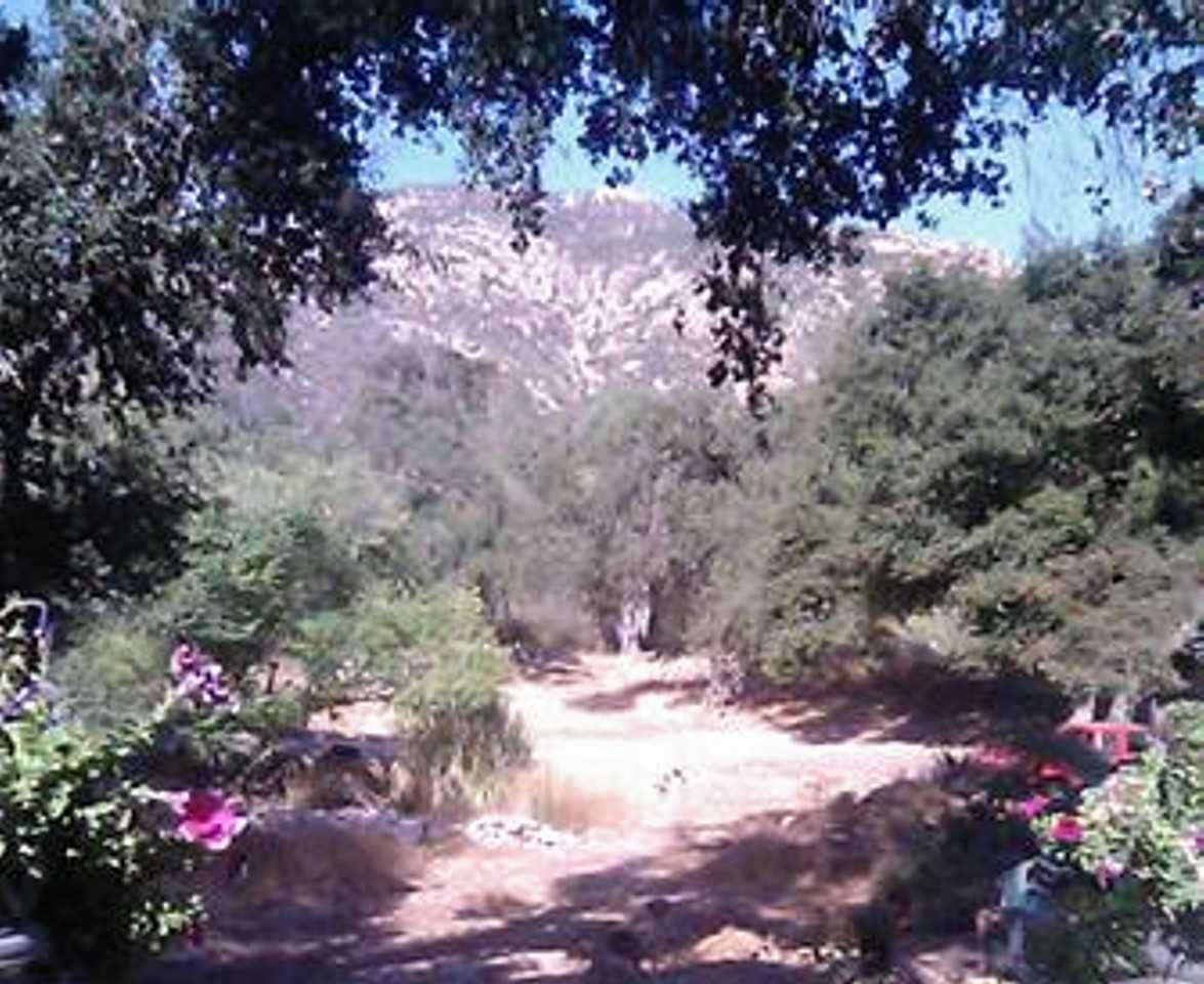 14519 Rios Canyon Rd #NA - Photo 4 of 25
