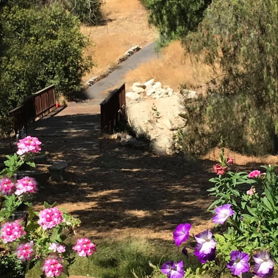 14519 Rios Canyon Rd #NA - Photo 5 of 25