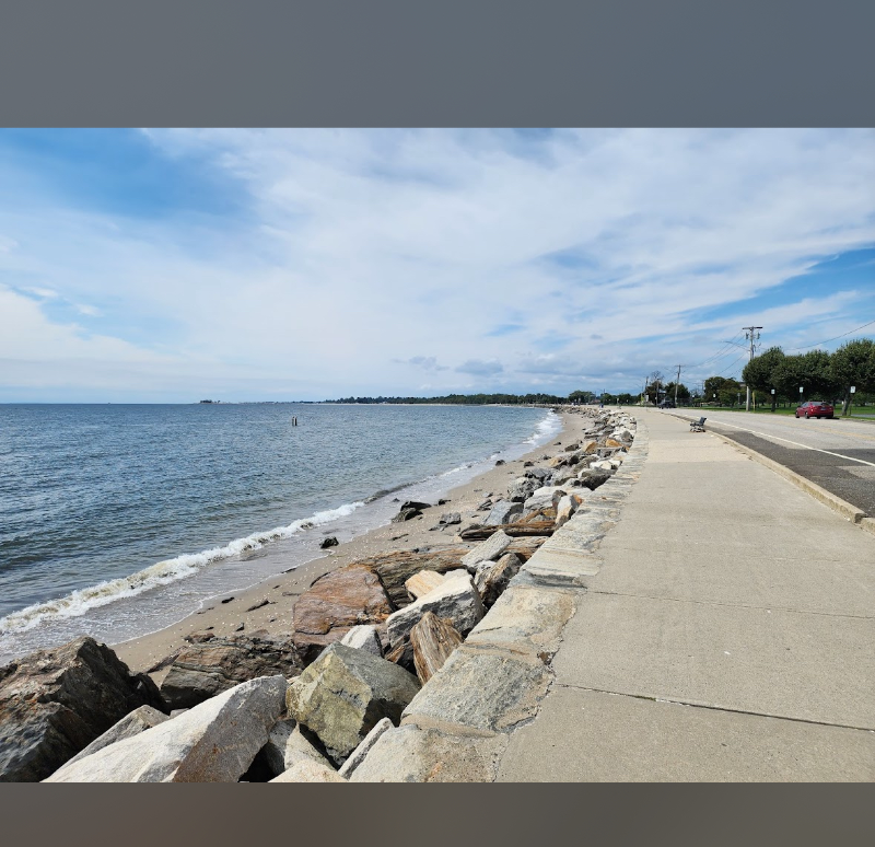 508 Pequonnock St #3 - Photo 7 of 8