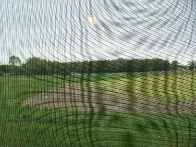 7138 Decatur St #3 - Photo 2 of 11