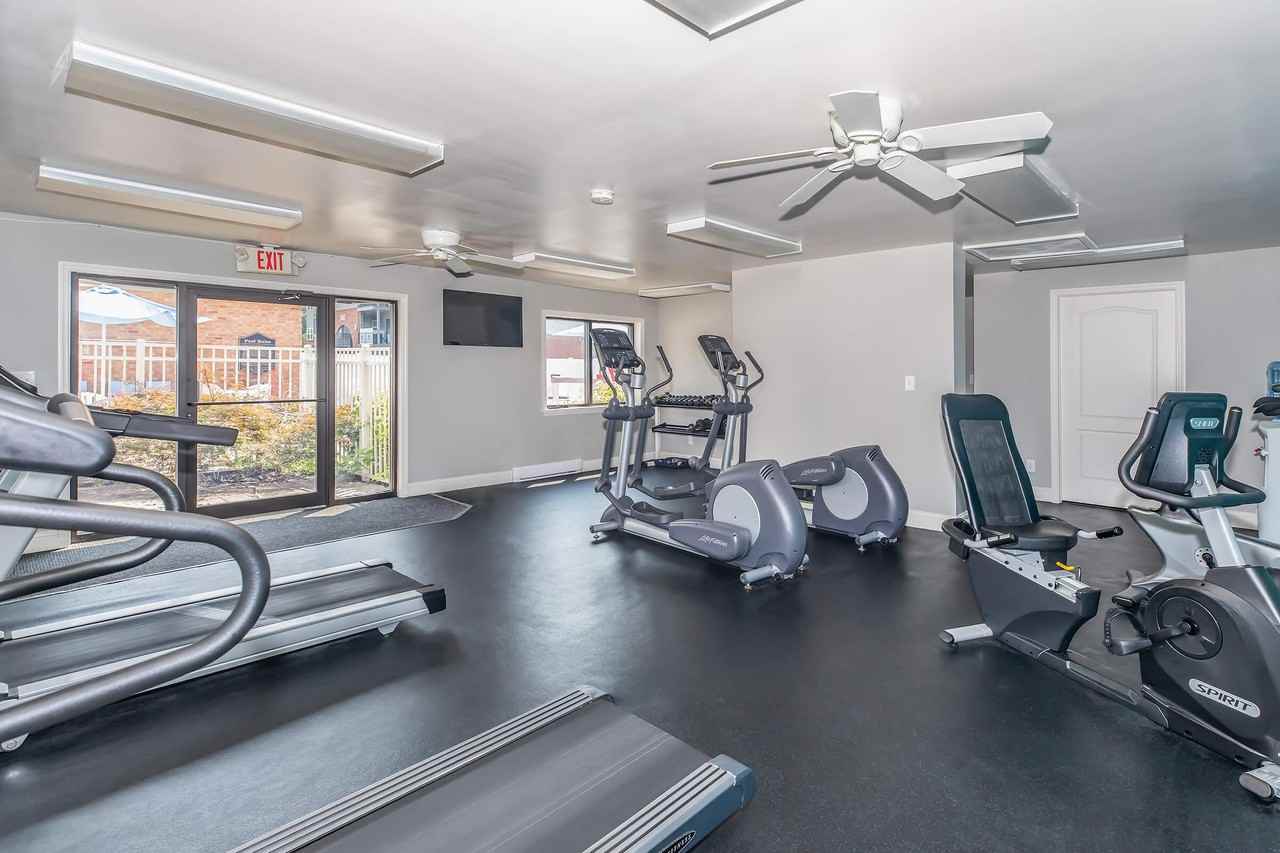 London Square and Blue Spruce - Photo 7 of 50