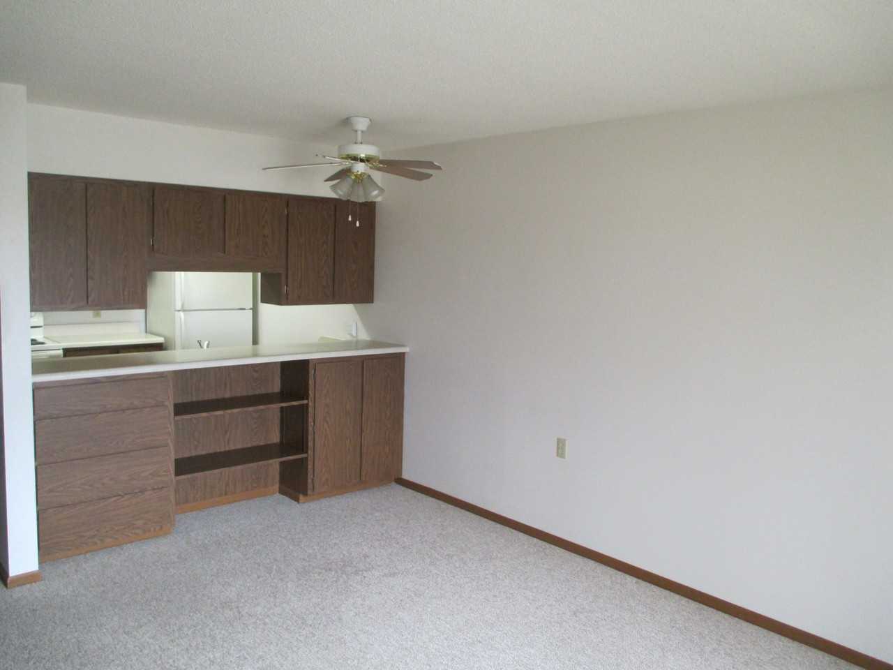 Heritage Apartments - Osakis - Photo 5 of 16