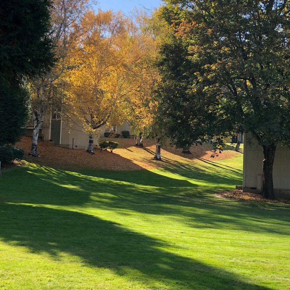 8748 North Columbia Boulevard - Photo 3 of 38