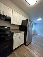 featured image of 7 Cantril St