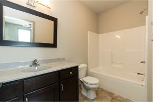 featured image of 4120 Lincoln Swing