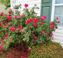 featured image of 3024 Spring Creek Rd