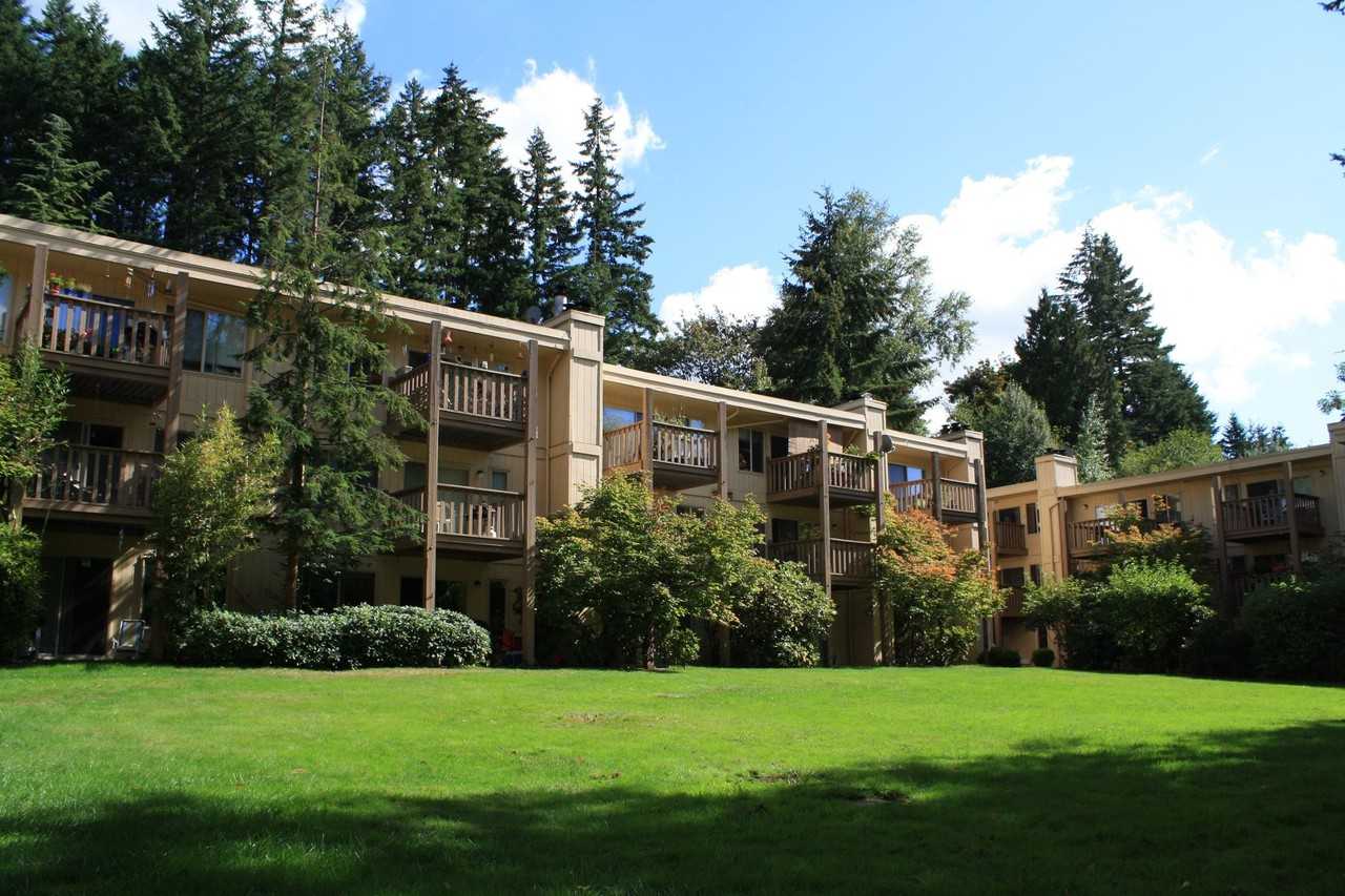 Willow Creek Apartments - Photo 2 of 5