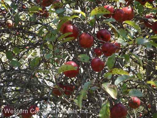 3035 Charley's Creek Rd - Photo 2 of 7