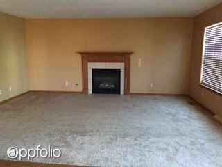 1195 Baltic Mill Dr - Photo 2 of 12
