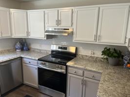 featured image of 51 Lake Drive #N1