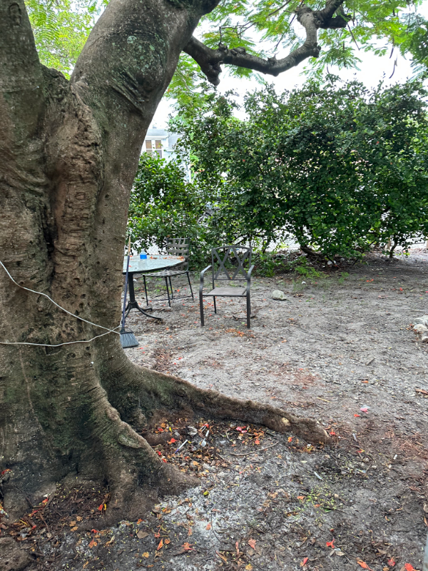 1918 Sheridan St - Photo 2 of 8