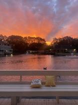 33 Lakes Edge Dr Se #33 - Photo 1 of 1