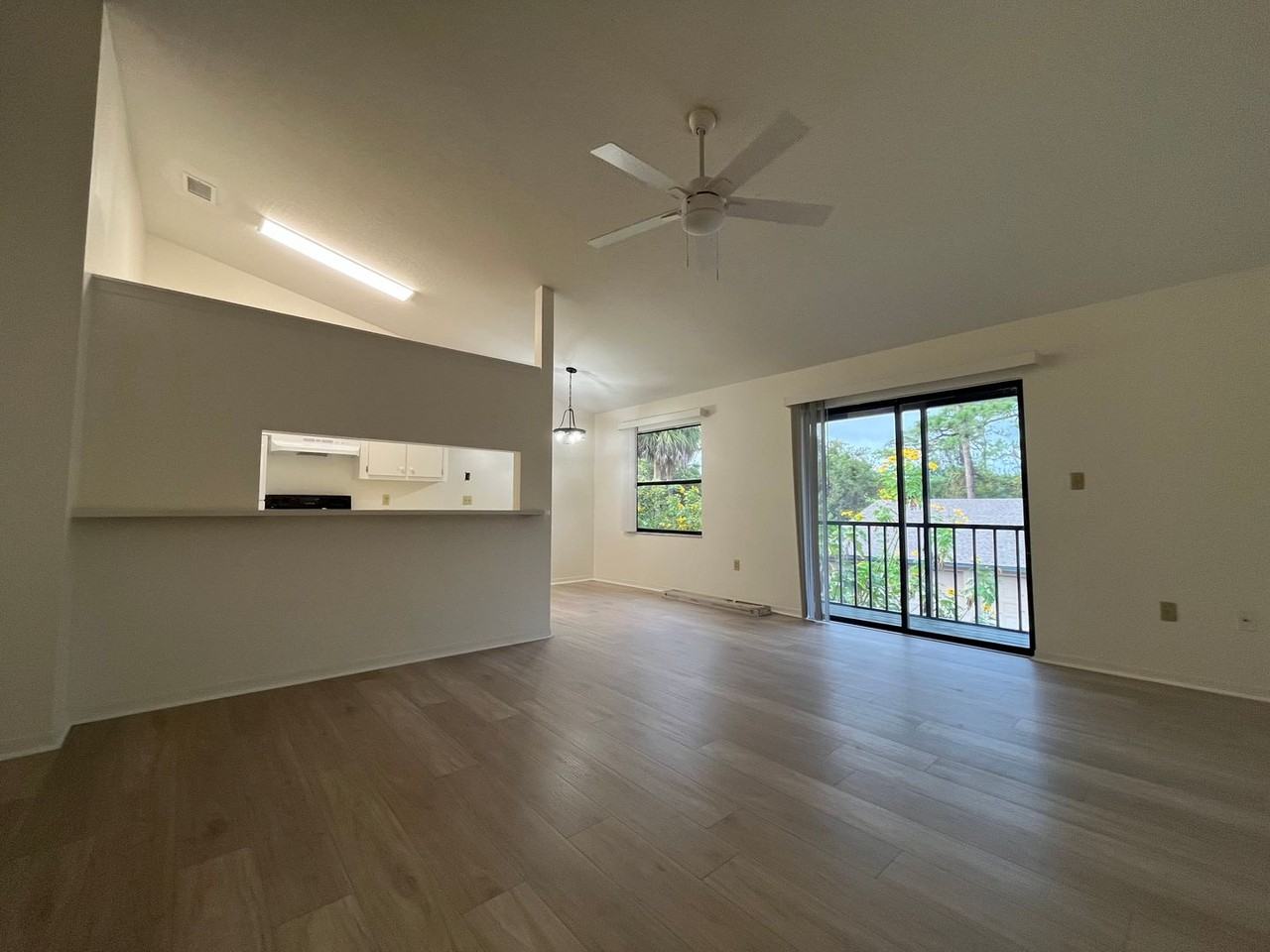 Thor - Photo 3 of 15