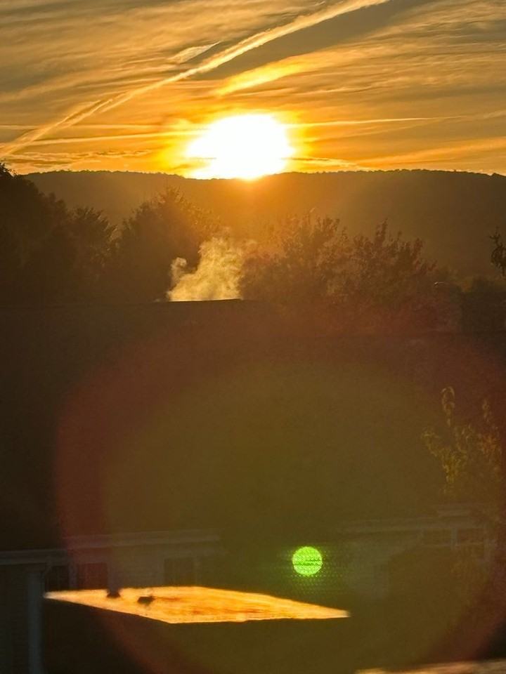 1706 Wood St - Photo 2 of 7