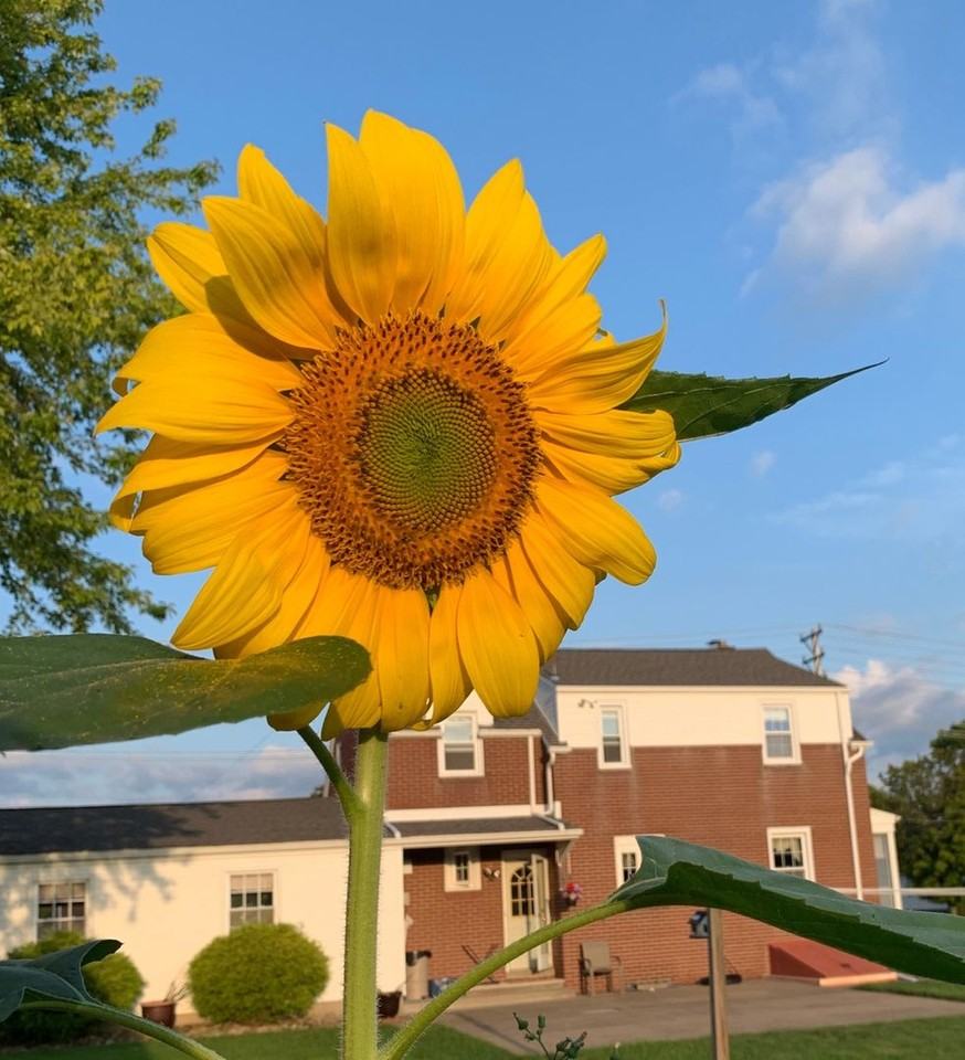 1706 Wood St - Photo 3 of 7