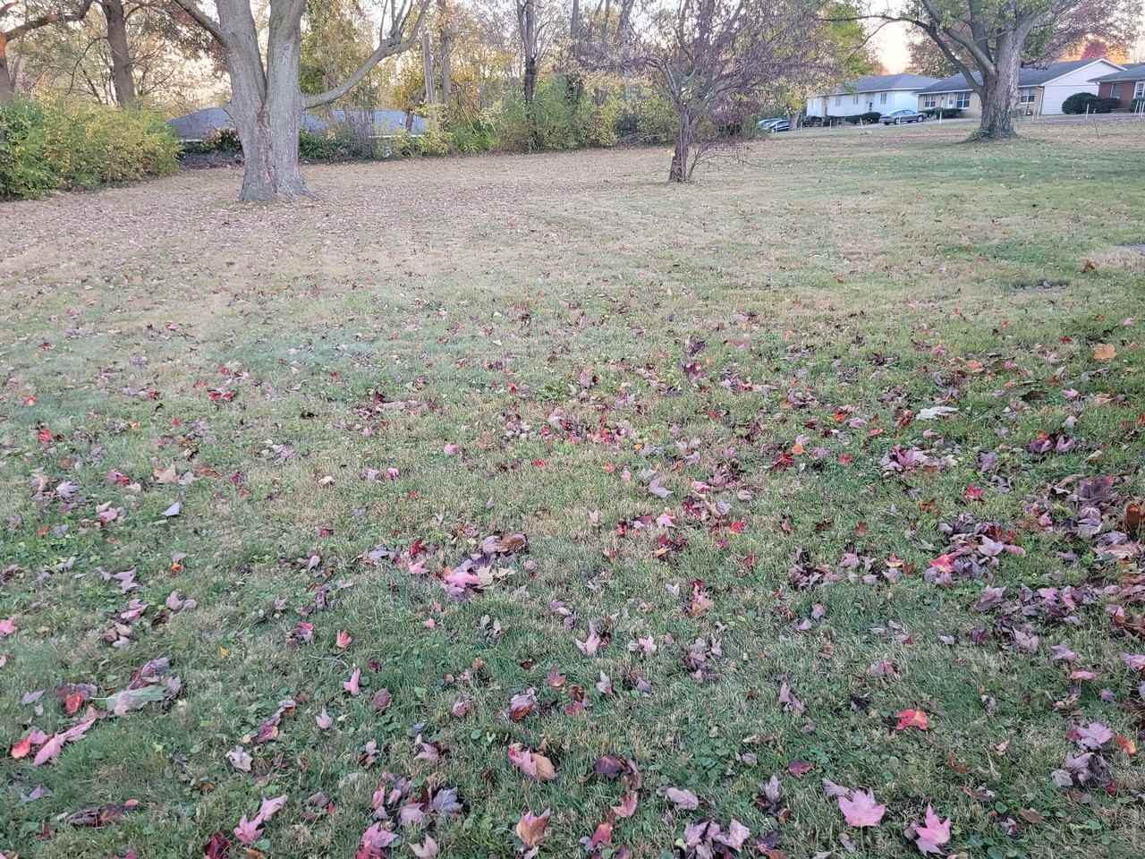 3311 Mccormick Rd #NA - Photo 6 of 12