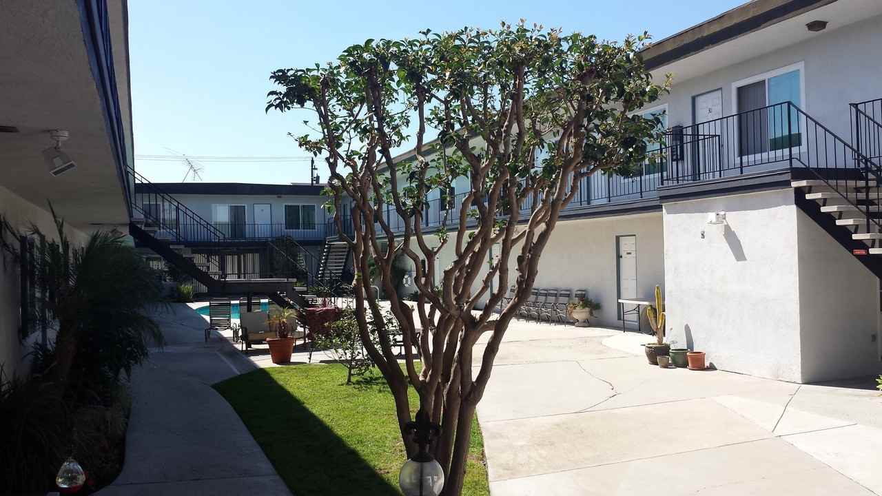 ANZA 2 (Auldin Arms) - Photo 3 of 21