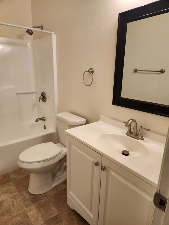 Thor - Photo 5 of 15