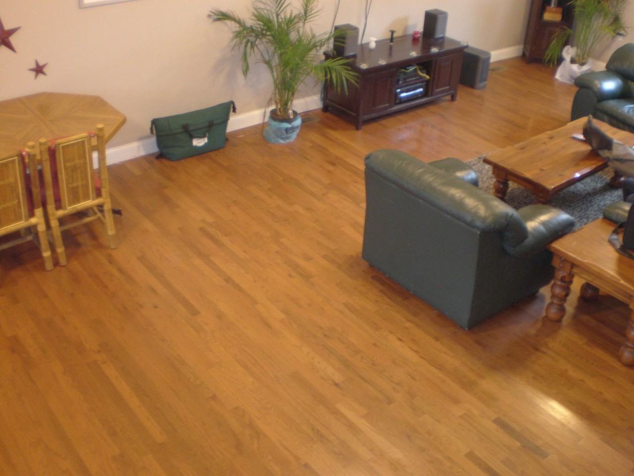 149 Pius St - Photo 6 of 19