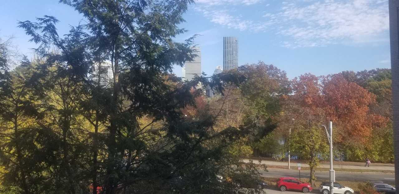 33 Park Dr - Photo 6 of 11